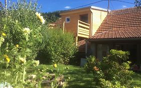 Gîte de montagne -Bellefosse Alsace