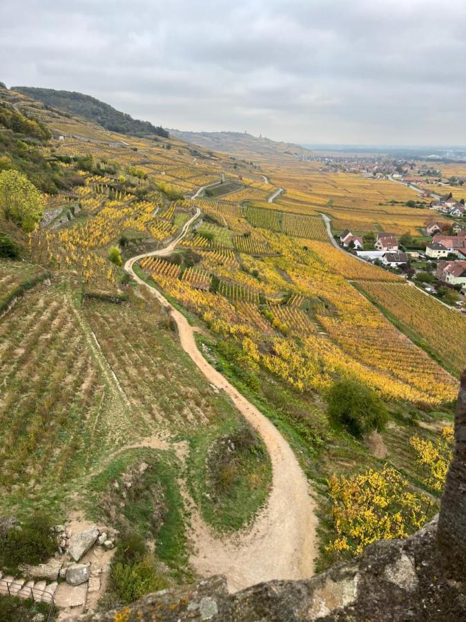 Gîte de montagne -Bellefosse Alsace Extérieur photo