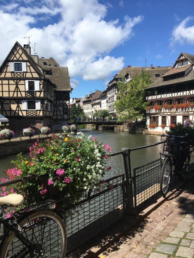 Gîte de montagne -Bellefosse Alsace Extérieur photo