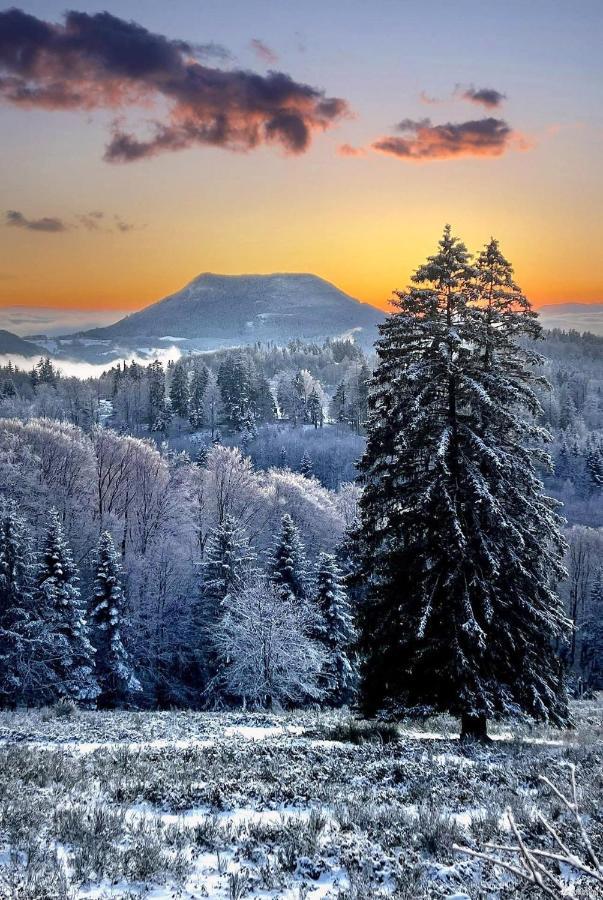 Gîte de montagne -Bellefosse Alsace Extérieur photo