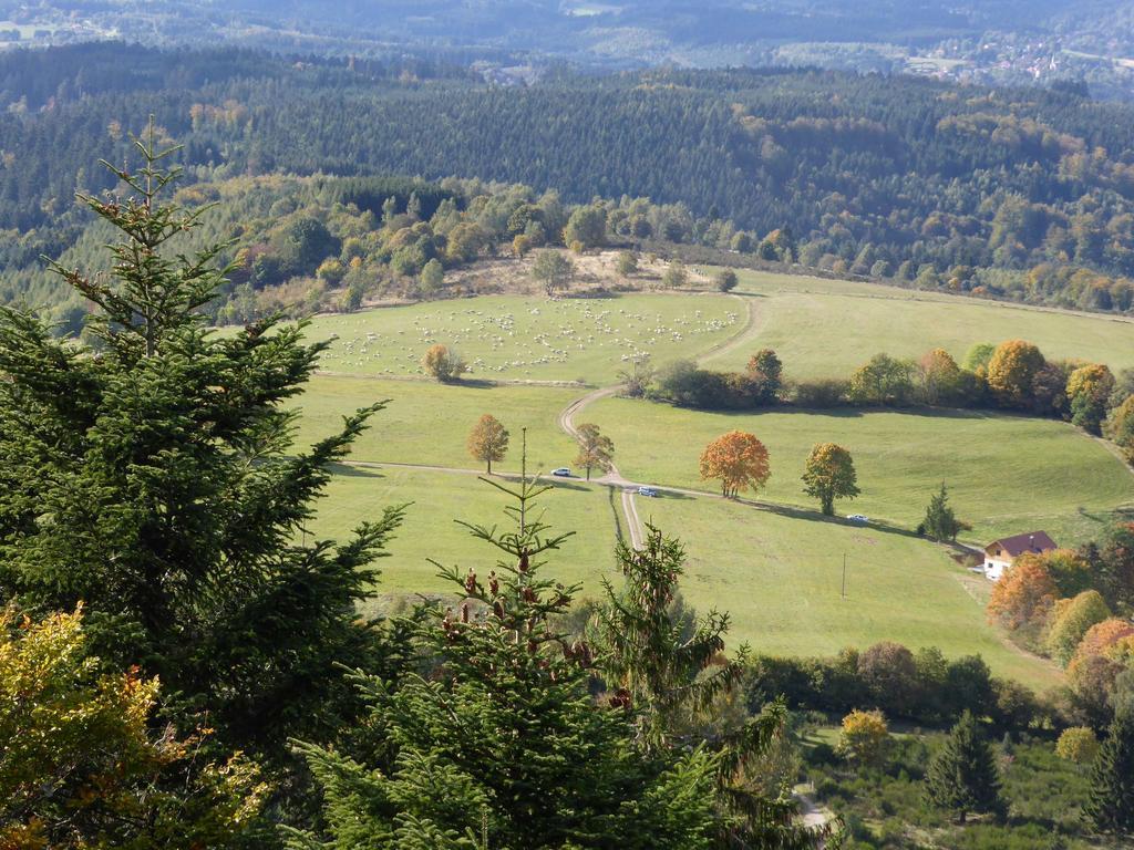 Gîte de montagne -Bellefosse Alsace Extérieur photo