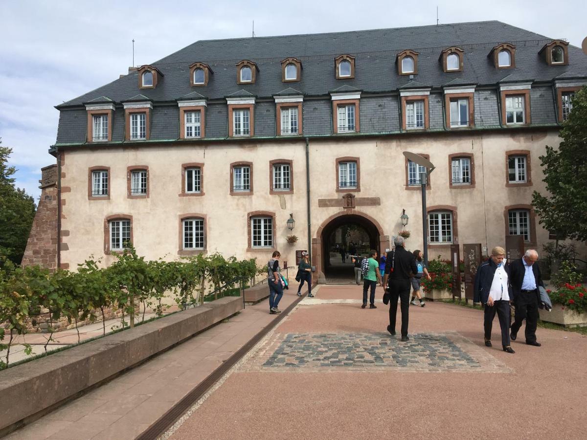 Gîte de montagne -Bellefosse Alsace Extérieur photo